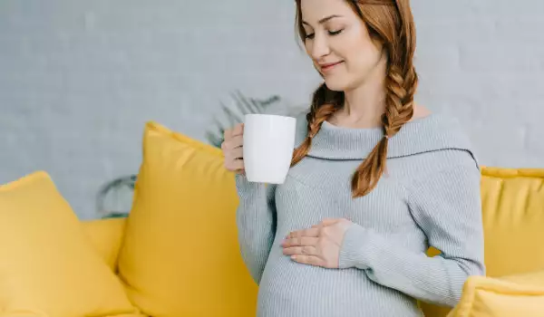 Какви чайове може да пие бременната жена