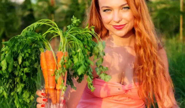 Листа от моркови - за какво помагат
