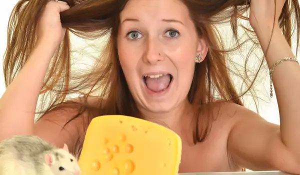 Фобия от сирене