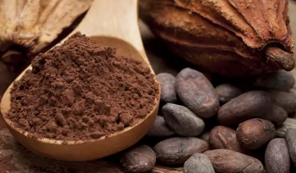 Какво представляват какаовите флаваноли?