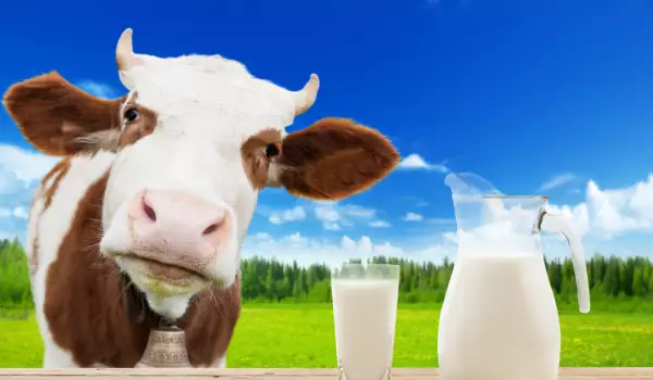 Защо млякото е най-уникалната храна на света!
