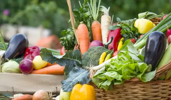 Зеленчуците съдържат ли въглехидрати?