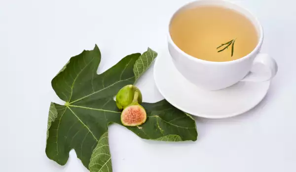 чай от листа от смокиня