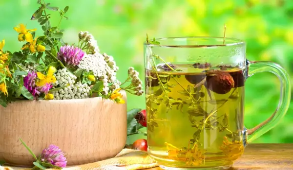 Чай от хинап - защо е толкова полезен