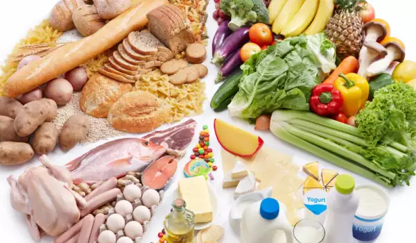 Основни хранителни вещества: Белтъчини, мазнини и въглехидрати