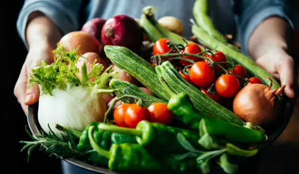 7 бързи съвети за здравето на вегетарианеца
