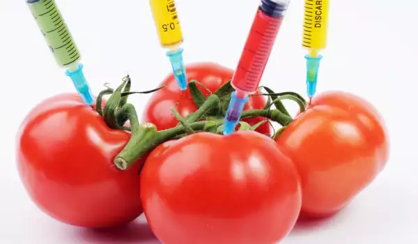 ГМО храните: Направи своя информиран избор!