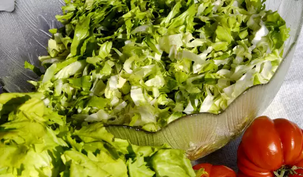 Съвети за съхранение на салати