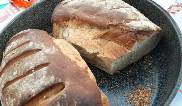 Защо хлябът с квас е полезен и как да си го направим у дома