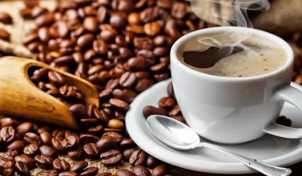 Кафе арабика - какво трябва да знаем