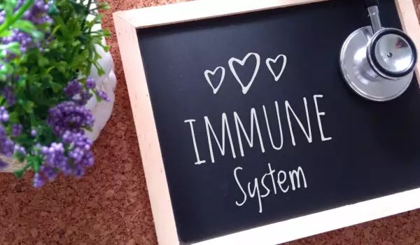 Рецепти за засилване на имунитета