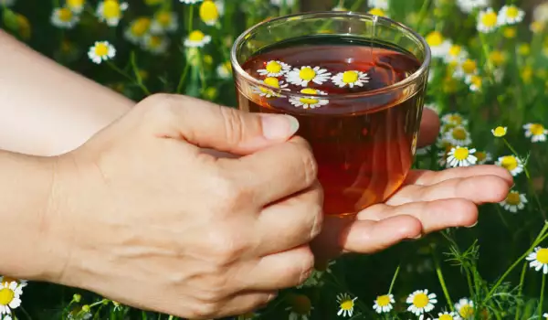 Защо е важно да пием редовно чай от лайка?