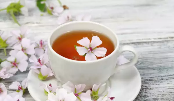 чай с лечебна ружа