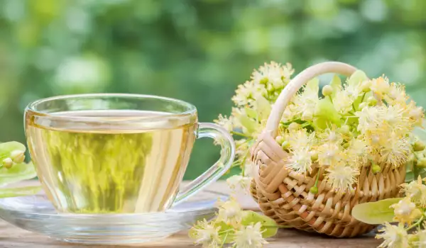 Обикновен липов чай с цветчета