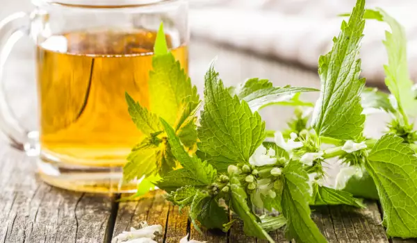 Кои чайове и билки помагат при сенна хрема?