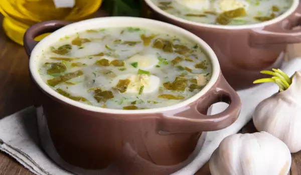Невероятните ползи на супата от коприва