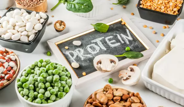 източници на растителен протеин