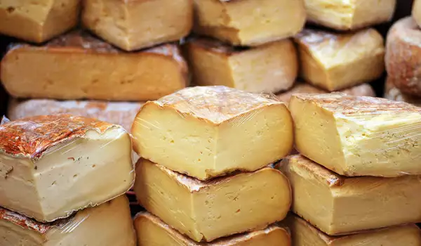 Магарешко сирене - най-скъпото в света