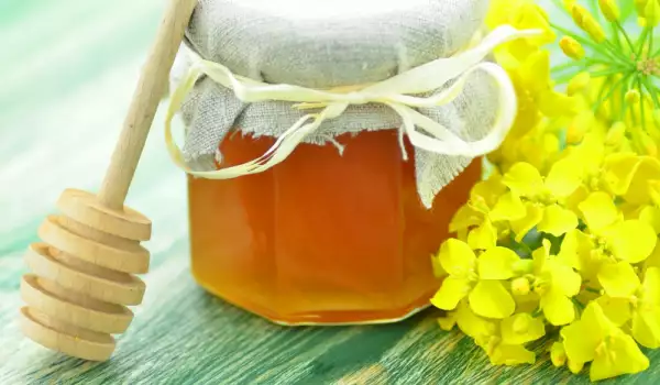 Мед от рапица - свойства и характеристики