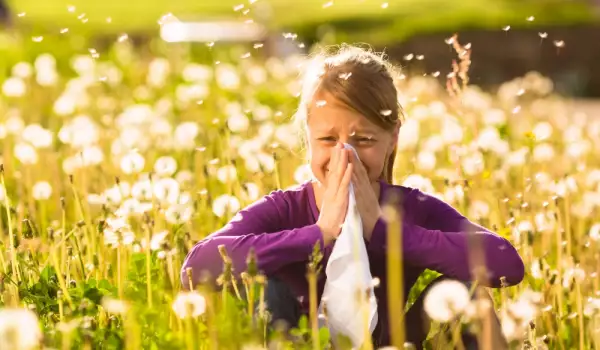 Няколко съвета как да се справим с пролетните алергии