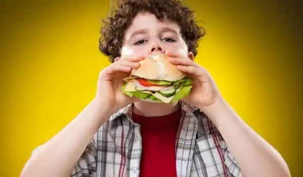 Здравословно хранене на децата от 7 до 12 години