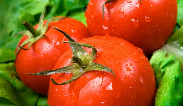 ГМО домати