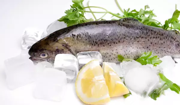 Черният дроб на риба треска е ценен източник на витамин А и D