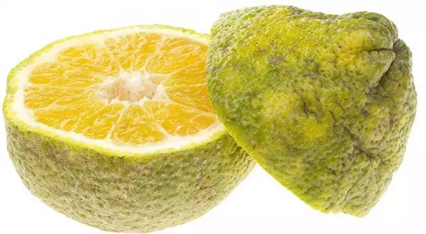 Как Грозният плод може да ви направи красиви и сияещи от здраве