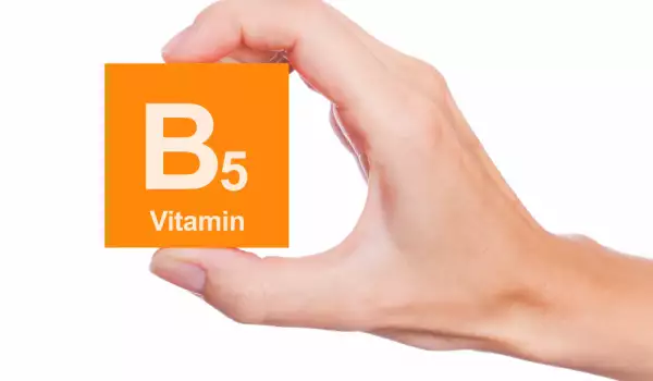 Функции на витамин В5