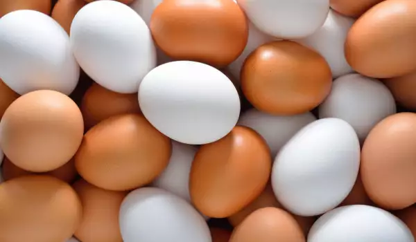 Кафяви или бели яйца