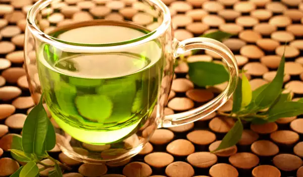 Зеленият чай е богат на катехини