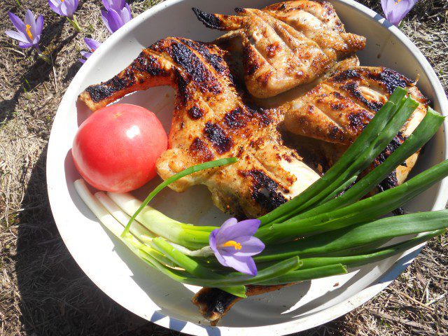 Пролетно пиле с билки на жар