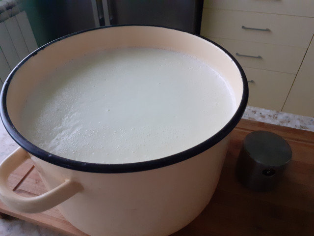 Подквасване на домашно прясно мляко