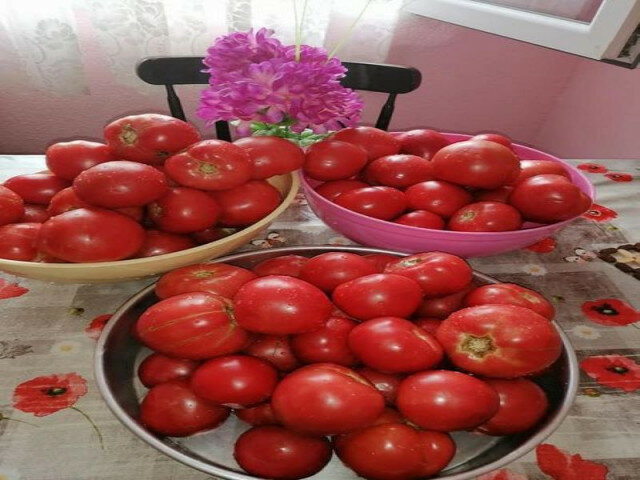 Консервирани домати за зимата