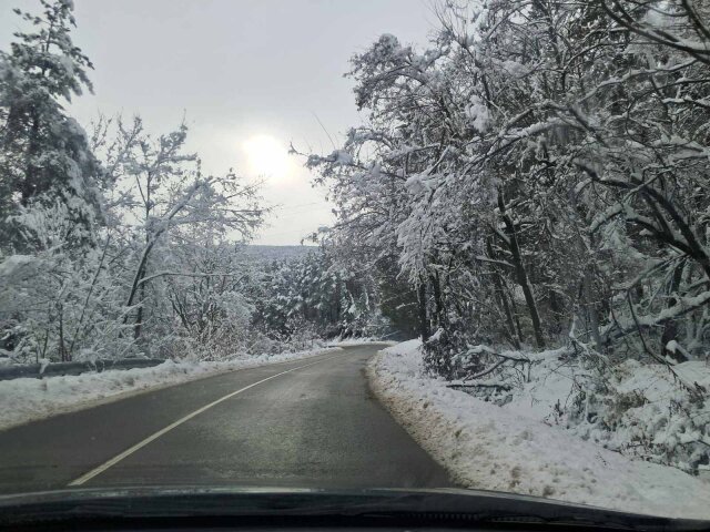 Домашна руска салата